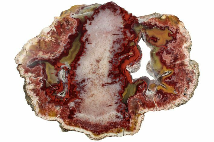 Polished Paint Rock Agate Slab - Tennessee #229076